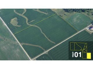 Property photo 2 - Land Auction 458+/- acres in 11 Tracts - Farmland, Woods